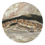 Rattlesnake at Shenandoah National Park Classic Round Sticker