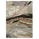 Rattlesnake at Shenandoah National Park Clipboard