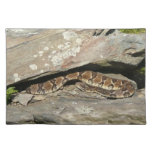 Rattlesnake at Shenandoah National Park Cloth Placemat