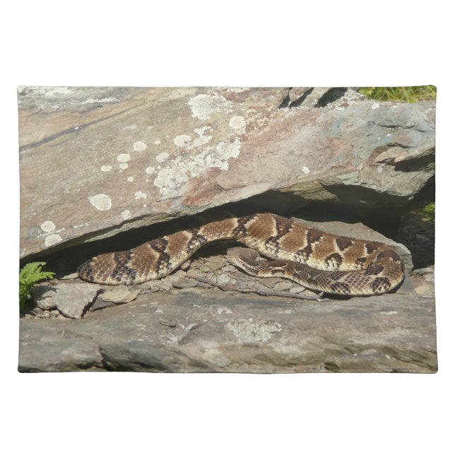 Rattlesnake at Shenandoah National Park Cloth Placemat (Front)