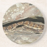 Rattlesnake at Shenandoah National Park Coaster