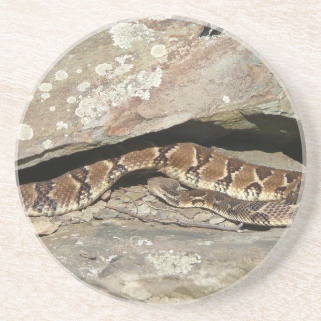 Rattlesnake at Shenandoah National Park Coaster (Front)