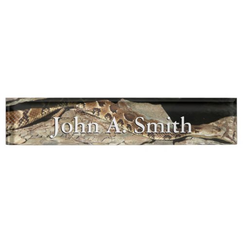 Rattlesnake at Shenandoah National Park Desk Name Plate