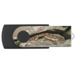 Rattlesnake at Shenandoah National Park Flash Drive