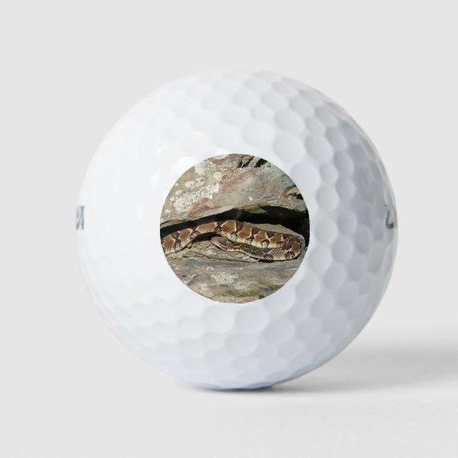 Rattlesnake at Shenandoah National Park Golf Balls (Front)