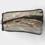 Rattlesnake at Shenandoah National Park Golf Head Cover