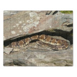 Rattlesnake at Shenandoah National Park Jigsaw Puzzle