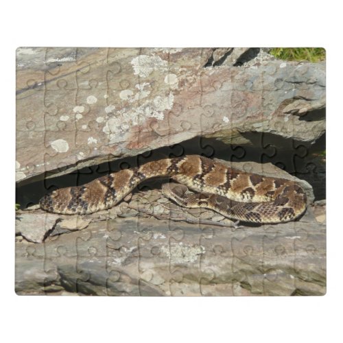 Rattlesnake at Shenandoah National Park Jigsaw Puzzle