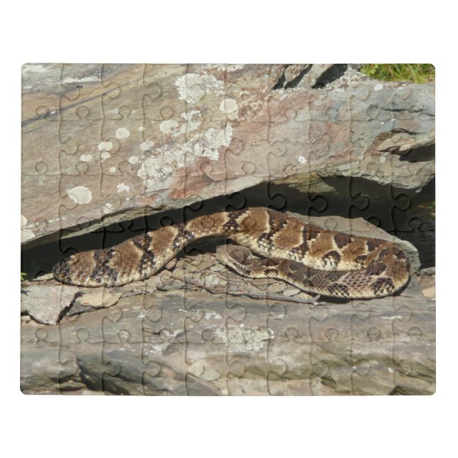 Rattlesnake at Shenandoah National Park Jigsaw Puzzle (Puzzle Horizontal)