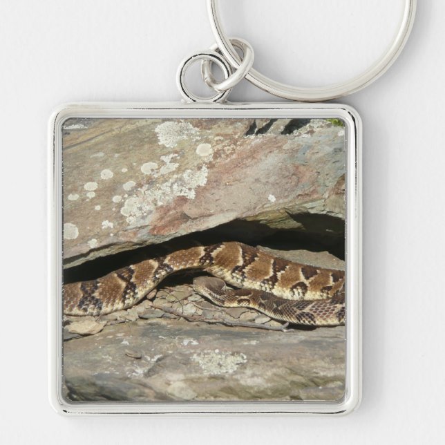 Rattlesnake at Shenandoah National Park Keychain (Front)