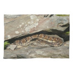 Rattlesnake at Shenandoah National Park Kitchen Towel