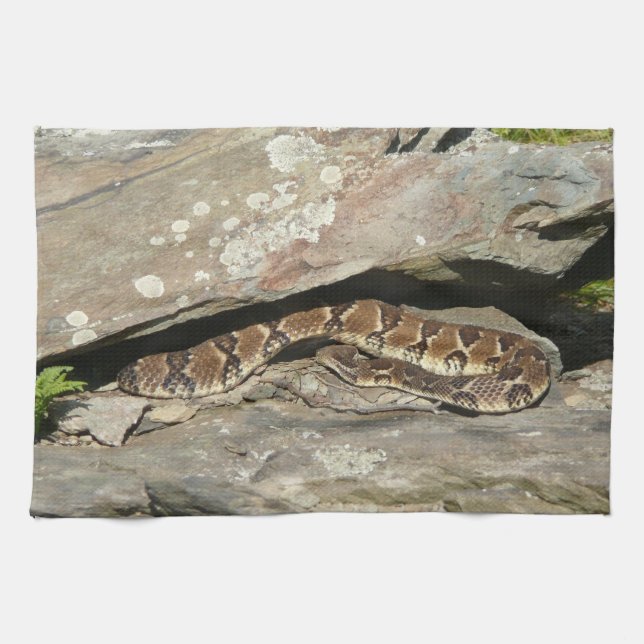 Rattlesnake at Shenandoah National Park Kitchen Towel (Horizontal)