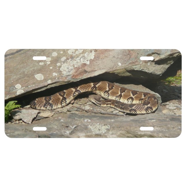 Rattlesnake at Shenandoah National Park License Plate (Front)