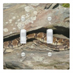 Rattlesnake at Shenandoah National Park Light Switch Cover