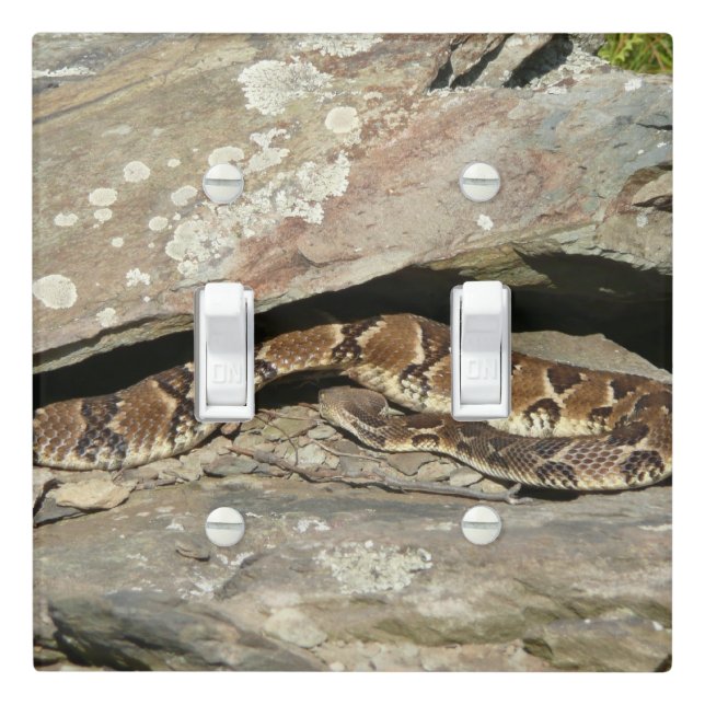 Rattlesnake at Shenandoah National Park Light Switch Cover (In Situ)