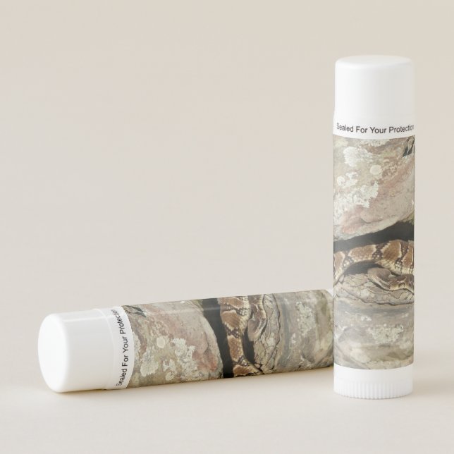 Rattlesnake at Shenandoah National Park Lip Balm (Front)