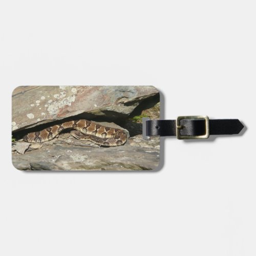 Rattlesnake at Shenandoah National Park Luggage Tag