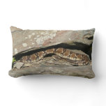 Rattlesnake at Shenandoah National Park Lumbar Pillow