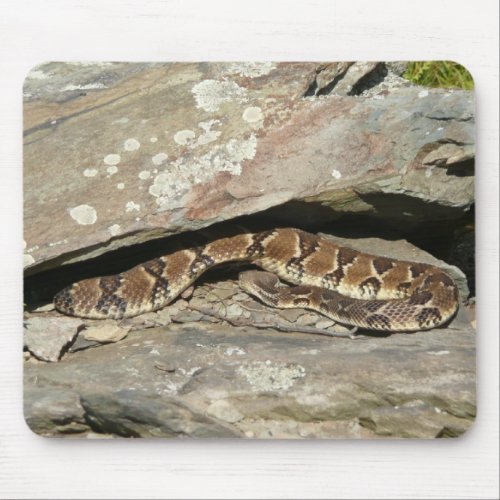 Rattlesnake at Shenandoah National Park Mouse Pad