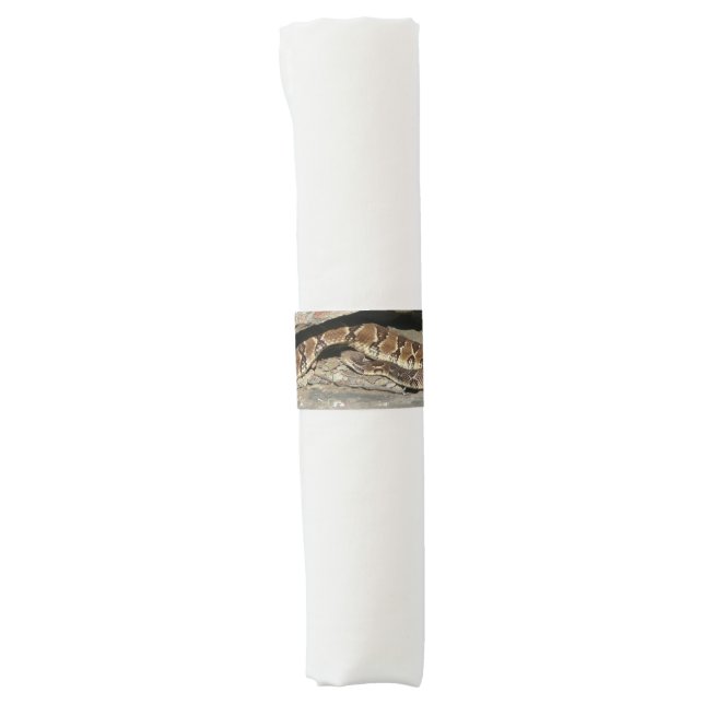 Rattlesnake at Shenandoah National Park Napkin Bands (Front)
