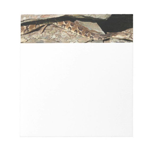 Rattlesnake at Shenandoah National Park Notepad (Front)