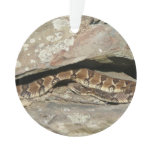 Rattlesnake at Shenandoah National Park Ornament