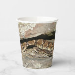 Rattlesnake at Shenandoah National Park Paper Cups