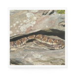 Rattlesnake at Shenandoah National Park Paper Napkins