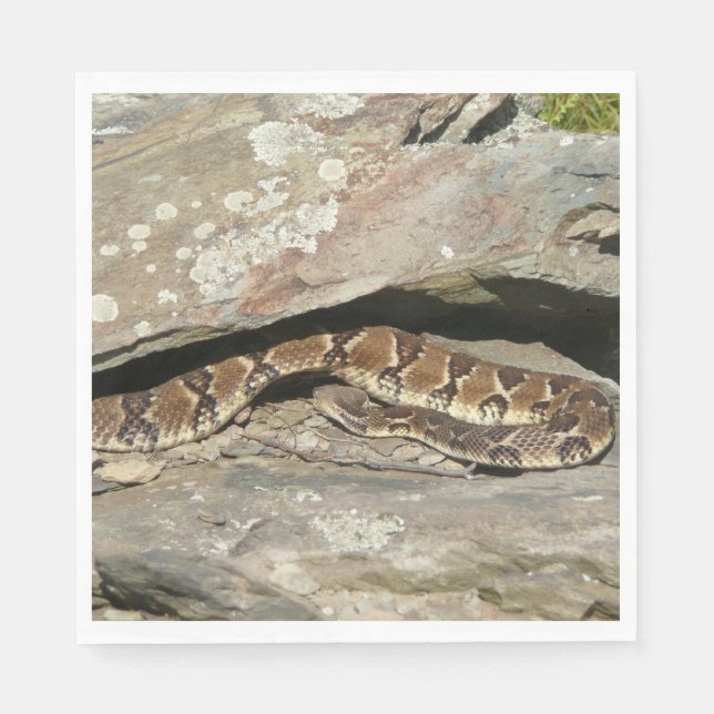 Rattlesnake at Shenandoah National Park Paper Napkins (Front)