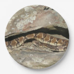 Rattlesnake at Shenandoah National Park Paper Plates