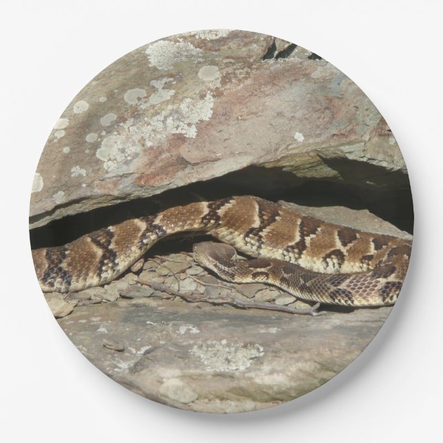 Rattlesnake at Shenandoah National Park Paper Plates (Front)