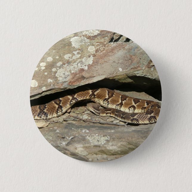 Rattlesnake at Shenandoah National Park Pinback Button (Front)