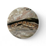 Rattlesnake at Shenandoah National Park Pinback Button