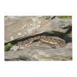 Rattlesnake at Shenandoah National Park Placemat