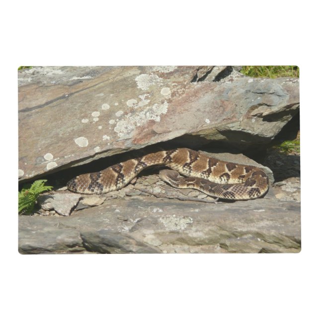 Rattlesnake at Shenandoah National Park Placemat (Front)