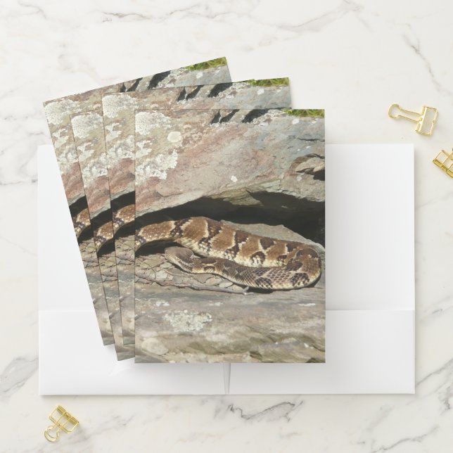 Rattlesnake at Shenandoah National Park Pocket Folder (In Situ)