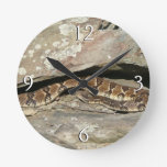 Rattlesnake at Shenandoah National Park Round Clock