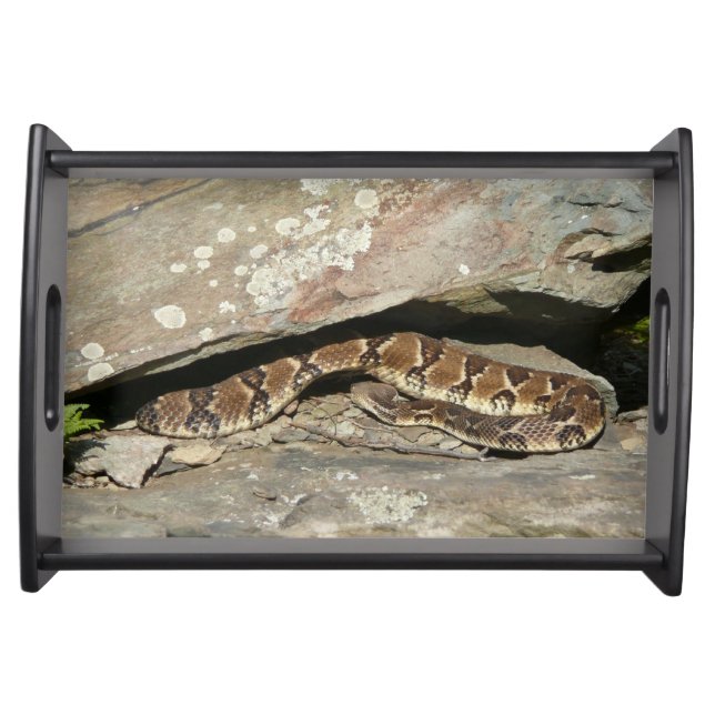 Rattlesnake at Shenandoah National Park Serving Tray (Front)
