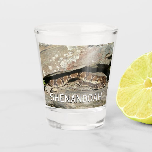 Rattlesnake at Shenandoah National Park Shot Glass (Front)