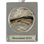Rattlesnake at Shenandoah National Park Silver Plated Banner Ornament