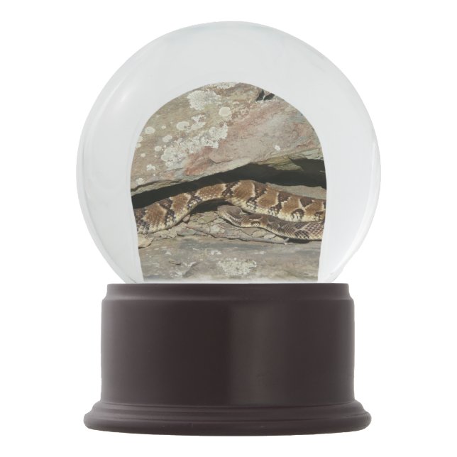 Rattlesnake at Shenandoah National Park Snow Globe (Front)