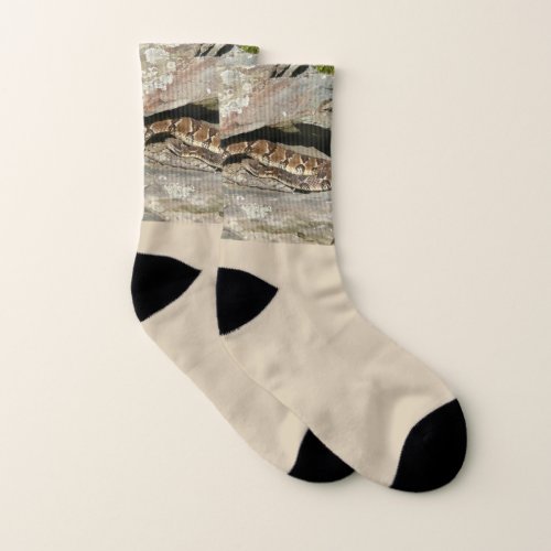 Rattlesnake at Shenandoah National Park Socks