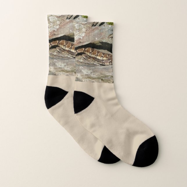 Rattlesnake at Shenandoah National Park Socks (Pair)