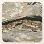 Rattlesnake at Shenandoah National Park Square Paper Coaster