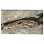 Rattlesnake at Shenandoah National Park Table Card Holder
