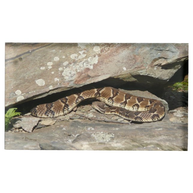 Rattlesnake at Shenandoah National Park Table Card Holder (Front)