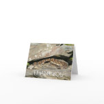 Rattlesnake at Shenandoah National Park Thank You Card