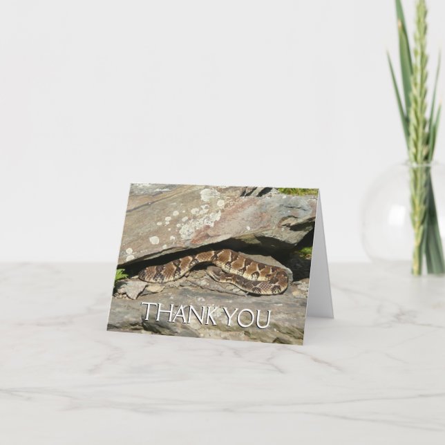 Rattlesnake at Shenandoah National Park Thank You Card (Front)
