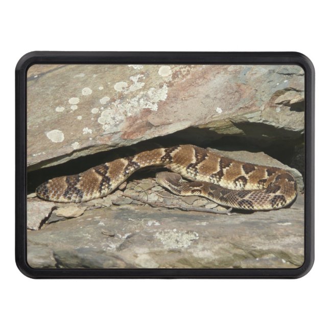Rattlesnake at Shenandoah National Park Tow Hitch Cover (Front)