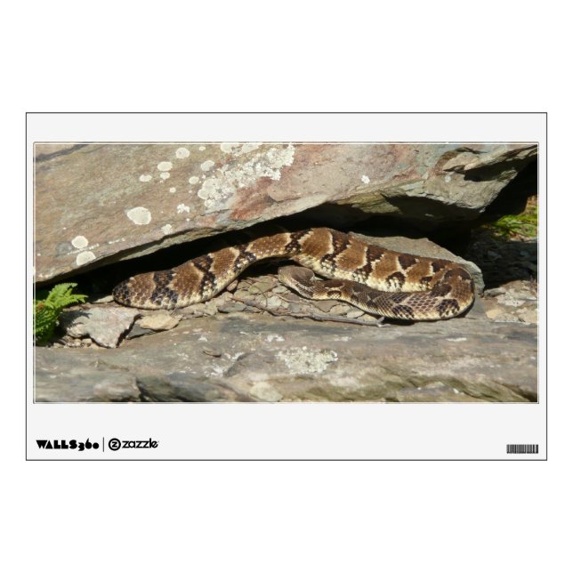 Rattlesnake at Shenandoah National Park Wall Decal (Front)